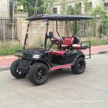 Fazenda de 250cc carrinho de golfe